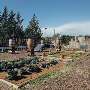 Restaurante Casa Nova