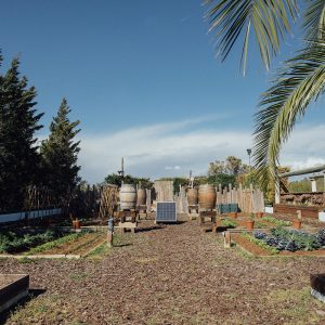 Restaurante Casa Nova